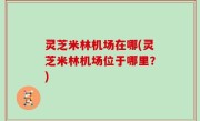 灵芝米林机场在哪(灵芝米林机场位于哪里？)