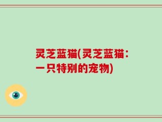 灵芝蓝猫(灵芝蓝猫：一只特别的宠物)