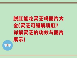 脱肛能吃灵芝吗图片大全(灵芝可缓解脱肛？详解灵芝的功效与图片展示)