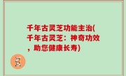 千年古灵芝功能主治(千年古灵芝：神奇功效，助您健康长寿)