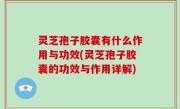 灵芝孢子胶囊有什么作用与功效(灵芝孢子胶囊的功效与作用详解)