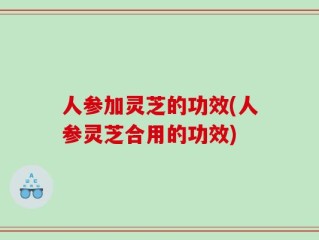 人参加灵芝的功效(人参灵芝合用的功效)