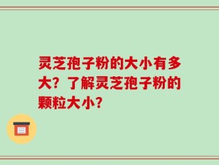 灵芝孢子粉的大小有多大？了解灵芝孢子粉的颗粒大小？