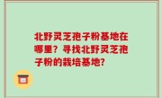 北野灵芝孢子粉基地在哪里？寻找北野灵芝孢子粉的栽培基地？
