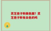 灵芝孢子粉颜色图？灵芝孢子粉有白色的吗