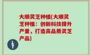 大顺灵芝种植(大顺灵芝种植：创新科技提升产量，打造高品质灵芝产品)