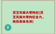 灵芝天麻大枣枸杞(灵芝天麻大枣枸杞合力，助你身体充沛)