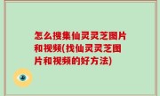 怎么搜集仙灵灵芝图片和视频(找仙灵灵芝图片和视频的好方法)