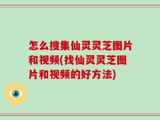 怎么搜集仙灵灵芝图片和视频(找仙灵灵芝图片和视频的好方法)