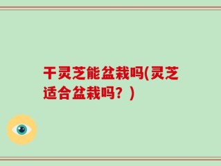 干灵芝能盆栽吗(灵芝适合盆栽吗？)