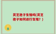 灵芝孢子生殖吗(灵芝孢子如何进行生殖？)