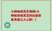 小师妹摘灵芝视频(小师妹采摘灵芝的壮丽景象真是让人心醉！)