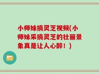 小师妹摘灵芝视频(小师妹采摘灵芝的壮丽景象真是让人心醉！)