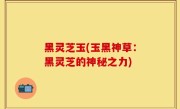 黑灵芝玉(玉黑神草：黑灵芝的神秘之力)