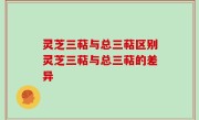 灵芝三萜与总三萜区别灵芝三萜与总三萜的差异