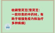 收藏雪灵芝(雪灵芝：一款珍贵的中药材，有助于增强免疫力和治疗多种疾病)