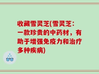 收藏雪灵芝(雪灵芝：一款珍贵的中药材，有助于增强免疫力和治疗多种疾病)