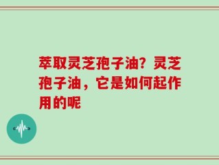 萃取灵芝孢子油？灵芝孢子油，它是如何起作用的呢