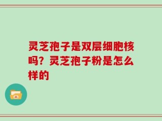 灵芝孢子是双层细胞核吗？灵芝孢子粉是怎么样的