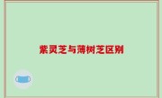 紫灵芝与薄树芝区别