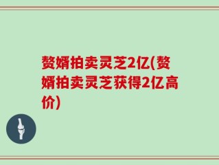 赘婿拍卖灵芝2亿(赘婿拍卖灵芝获得2亿高价)