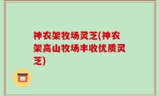 神农架牧场灵芝(神农架高山牧场丰收优质灵芝)