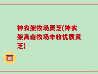 神农架牧场灵芝(神农架高山牧场丰收优质灵芝)