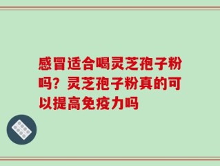 感冒适合喝灵芝孢子粉吗？灵芝孢子粉真的可以提高免疫力吗