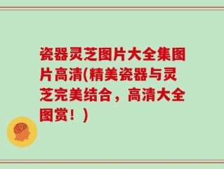 瓷器灵芝图片大全集图片高清(精美瓷器与灵芝完美结合，高清大全图赏！)