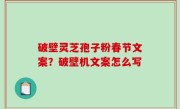 破壁灵芝孢子粉春节文案？破壁机文案怎么写