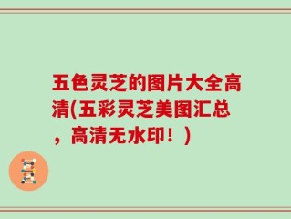 五色灵芝的图片大全高清(五彩灵芝美图汇总，高清无水印！)