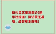 新化灵芝基地简介(新华社报道：探访灵芝基地，品尝草本鲜味)