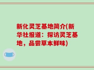 新化灵芝基地简介(新华社报道：探访灵芝基地，品尝草本鲜味)