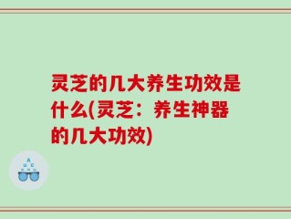 灵芝的几大养生功效是什么(灵芝：养生神器的几大功效)