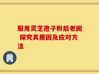 服用灵芝孢子粉后老困 探究其原因及应对方法