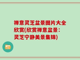 禅意灵芝盆景图片大全欣赏(欣赏禅意盆景：灵芝宁静美景集锦)