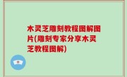 木灵芝雕刻教程图解图片(雕刻专家分享木灵芝教程图解)