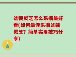 盆栽灵芝怎么采摘最好看(如何最佳采摘盆栽灵芝？简单实用技巧分享)