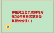 种植灵芝怎么煮熟吃好呢(如何煮熟灵芝享受其营养价值？)