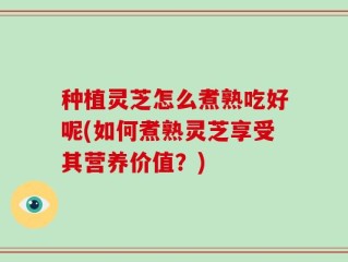 种植灵芝怎么煮熟吃好呢(如何煮熟灵芝享受其营养价值？)
