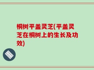 桐树平盖灵芝(平盖灵芝在桐树上的生长及功效)