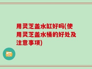 用灵芝盖水缸好吗(使用灵芝盖水桶的好处及注意事项)