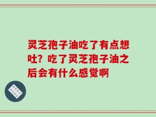 灵芝孢子油吃了有点想吐？吃了灵芝孢子油之后会有什么感觉啊
