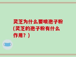 灵芝为什么要喷孢子粉(灵芝的孢子粉有什么作用？)