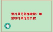 整片灵芝怎样破壁？破壁机打灵芝怎么做