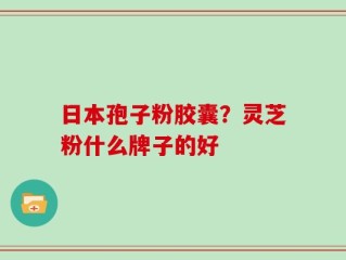 日本孢子粉胶囊？灵芝粉什么牌子的好