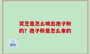 灵芝是怎么喷出孢子粉的？孢子粉是怎么来的