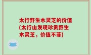 太行野生木灵芝的价值(太行山发现珍贵野生木灵芝，价值不菲)