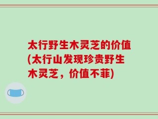 太行野生木灵芝的价值(太行山发现珍贵野生木灵芝，价值不菲)