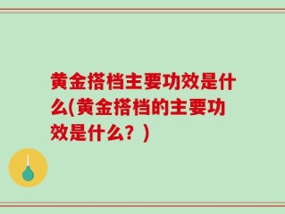 黄金搭档主要功效是什么(黄金搭档的主要功效是什么？)
